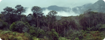 Đà Lạt - TP. Hồ Chí Minh