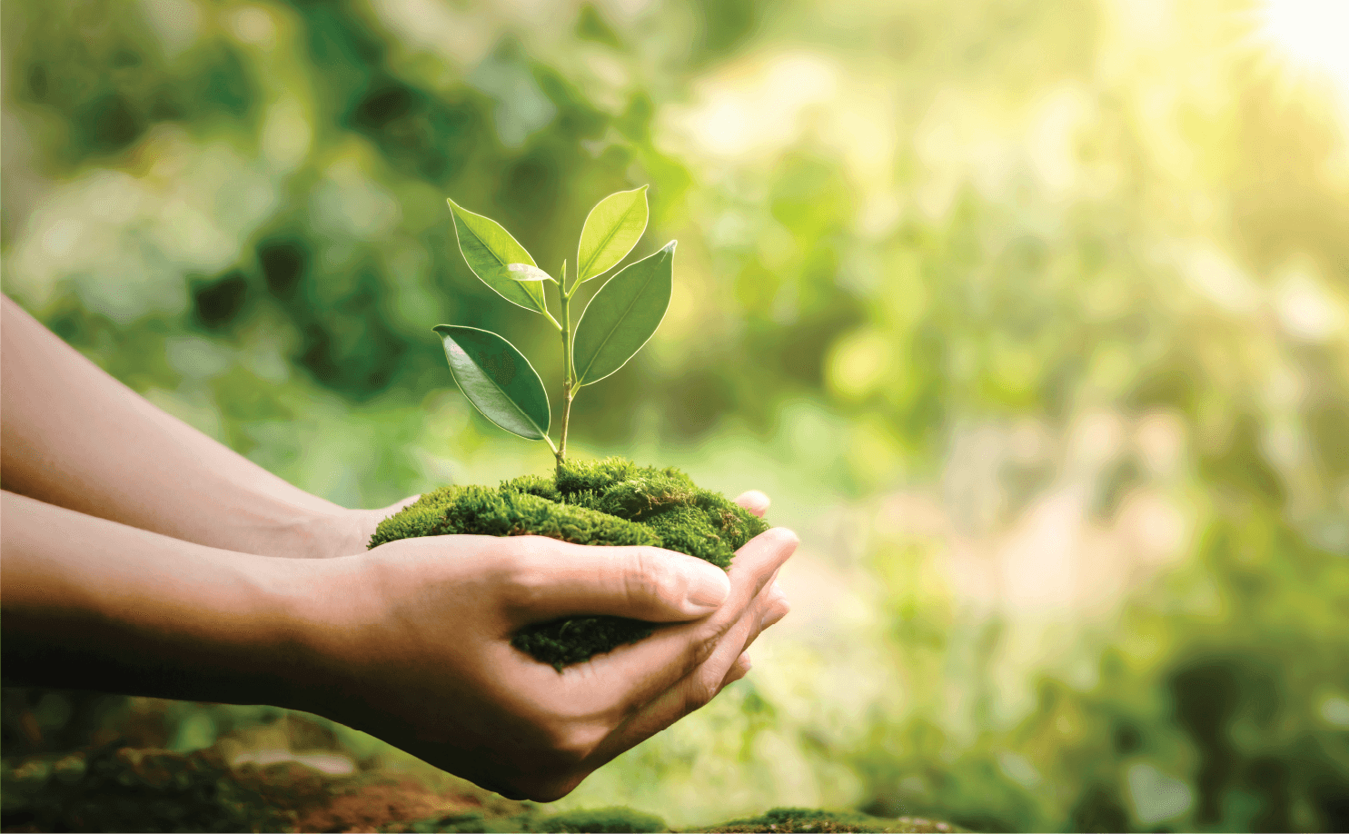 Giá trị cốt lõi